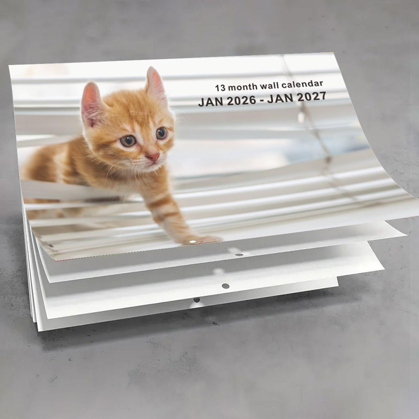 2026 Cat English Wall Calendar - đánh giá và giá English Home Office