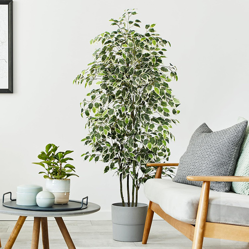 70in Artificial Ficus Tree Fau - đánh giá và giá Home Office Simulator